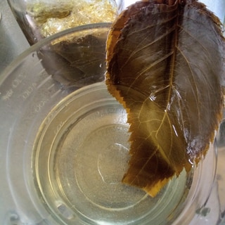 桜の葉 塩漬けレシピ 作り方の人気順 簡単料理の楽天レシピ 桜の葉 塩漬けレシピ 作り方の人気順 簡単料理の楽天レシピ